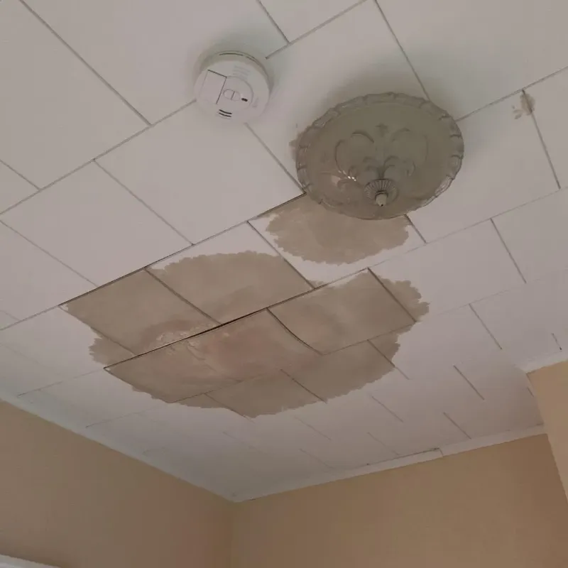 Ceiling Water Damage Repair in Phoenix, NY